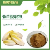 菊苣提取物10：1 源頭廠家供應 固體飲料原料 菊苣粉