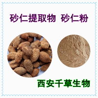 砂仁提取物 供應植物提取物砂仁粉砂仁萃取原液