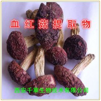 血紅菇提取物粉 血紅菇濃縮汁粉 供應動植物提取物 定做流浸膏