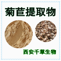 菊苣速溶粉菊苣濃縮粉專業定制植物濃縮浸膏