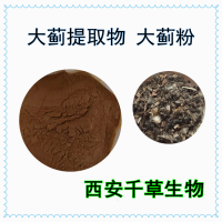 大薊水溶粉 供應動植物提取物 定做大薊流浸膏 顆粒
