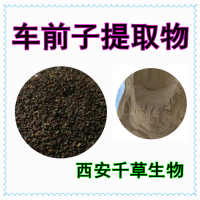 車前子水溶粉 供應動植物提取物定做浸膏顆粒