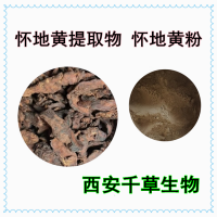 干地黃提取物 供應植物提取物 定做干地黃萃取原液