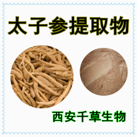 太子參提取物 供應植物提取物菌菇浸膏