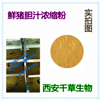 豬膽提取物 廠家生產(chǎn)濃縮低溫烘焙干燥豬膽干膏