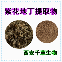 紫花地丁提取物 供應植物提取物 定制紫花地丁浸膏顆粒