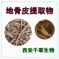 地骨皮濃縮粉 供應植物提取物地骨皮萃取原液