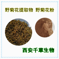 野菊花浸膏粉供應植物提取物苦薏濃縮汁粉