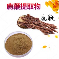 鹿鞭提取物 鹿鞭粉