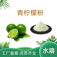 青檸檬粉 青檸檬果粉 果汁粉 青檸檬濃縮粉
