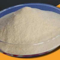 果膠酶 食品級果膠酶價格 果膠酶酶活力