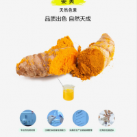 姜黃 食品色素 果醬 可可制品 巧克力和巧克力制品 糖果