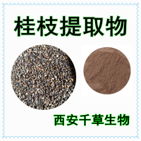 桂枝浸膏粉桂枝濃縮汁粉桂枝萃取液