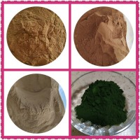 黃芩水溶粉定制動植物提取物 供應黃芩浸膏