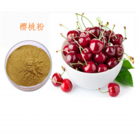 櫻桃果粉 食品原料廠家