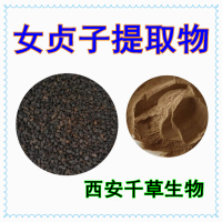 冬青子提取物 供應(yīng)植物提取物定做冬青子浸膏