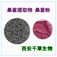 桑葚水溶粉供應植物提取物桑果粉