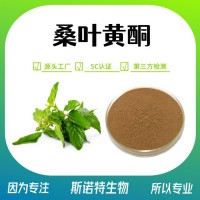 桑葉黃酮 桑葉提取物 濃縮萃取 精細粉末 全水溶