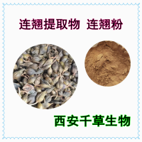 連翹提取物連翹水溶性熟粉 供應植物萃取濃縮原液干膏