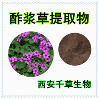酢漿草提取物熟粉 酢漿草濃縮浸膏酢漿草萃取原液