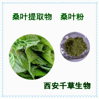 潘桑葉提取物潘桑葉濃縮粉潘桑葉萃取原液干膏