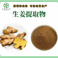 生姜提取物 生姜粉 濃縮萃取 源頭工廠 資質(zhì)齊全 斯諾特生物
