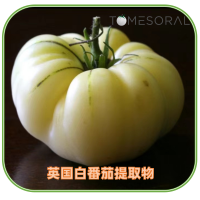 TOMESORAL白番茄提取物 | 白番茄濃縮粉|英國(guó)白番茄