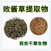 敗醬草提取物熟粉 定制敗醬草混合濃縮浸膏