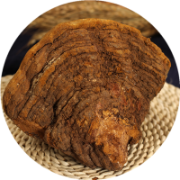 桑黃提取物熟粉 西安千草生物供應混合濃縮浸膏