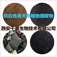 雞骨柴葉提取物粉雞骨柴葉粉 西安千草生物供應雞骨柴葉浸膏粉
