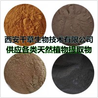 知風草提取物知風草濃縮粉知風草浸膏粉供應水溶性熟化粉濃縮干膏