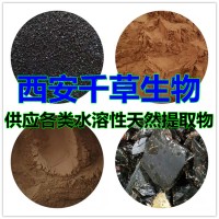 豆豉草提取物豆豉草濃縮粉 西安千草生物供應(yīng)豆豉草浸膏粉干膏