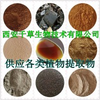 待宵草提取物待宵草濃縮粉 西安千草生物供應(yīng)待宵草浸膏粉
