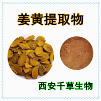 姜黃提取物姜黃浸膏姜黃水溶粉