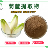 菊粉 菊苣粉 濃縮粉 速溶水溶 源頭工廠斯諾特