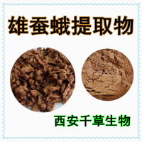 雄蠶蛾浸膏粉 專業定制植物提取物粉雄蠶蛾濃縮浸膏