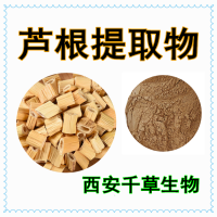 鮮蘆根水溶粉 供應植物提取物粉 定做葦根流浸膏 葦根易溶顆粒