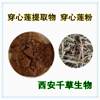 穿心蓮浸膏粉 供應植物提取物定做穿心蓮流浸膏 穿心蓮顆粒