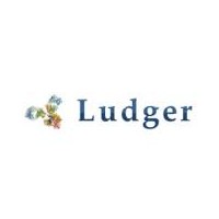 Ludger高通量甲基化檢測方法優勢供應