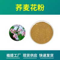 蕎麥花粉 蕎麥花提取物 水溶性粉末