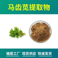 馬齒莧粉 馬齒莧提取物 水溶性粉末