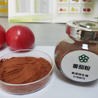 番茄提取物  番茄濃縮粉