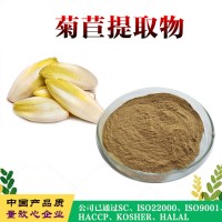 菊苣提取物  菊苣濃縮粉