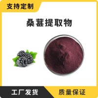 桑葚粉 桑葚提取物 支持定制 水溶性粉末 多種規格