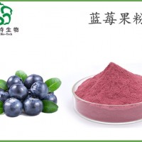 藍(lán)莓果粉 全水溶藍(lán)莓粉