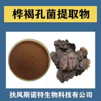 樺褐孔菌多糖提取物 水溶性樺褐孔菌速溶粉 植提廠家供應