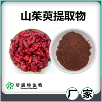 山茱萸提取物 水溶性山茱萸速溶粉 斯諾特生物供應