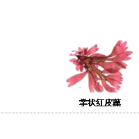 木聚糖Elicityl惠誠生物優勢供應
