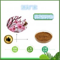 水溶桃花粉 現(xiàn)貨供應(yīng) 桃花提取物量大從優(yōu)