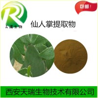 仙人掌提取物10:1 仙人掌粉天瑞源頭廠家